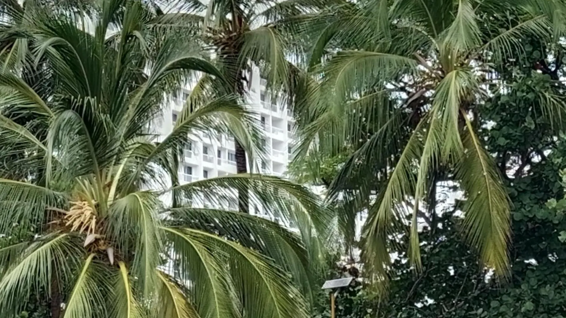 Apartamento En Pozos Colorados Santa Marta Hotel Porto Horizonte Suite 1309 -Pozos Colorados El Manantial 0*,  Colombia